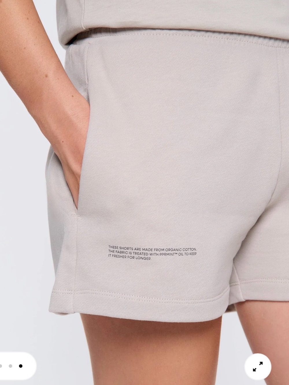 Pangaia Unisex 365 Midweight shorts, stone, large - Picture 3 of 15